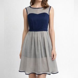 Navy & Grey Fit and Flare Dress | Mesh Overlay | Cocktail Party Dress